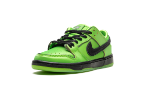 nike-dunk-sb FZ8832-300