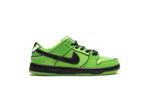 nike-dunk-sb FZ8832-300