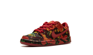 nike-dunk-sb FZ1236-600