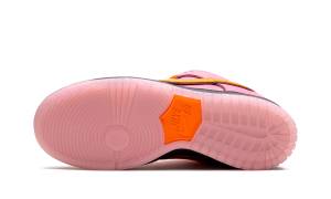 nike-dunk-sb FD2631-600