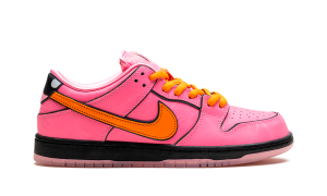 nike-dunk-sb FD2631-600