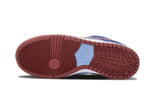 nike-dunk 313170-463