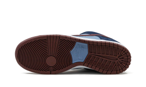 nike-dunk 313170-463