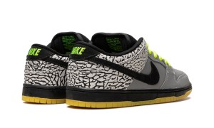 nike-dunk-sb 504750-017