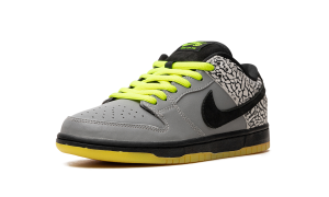 nike-dunk-sb 504750-017