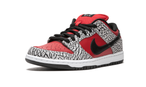 nike-dunk 313170-600