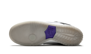 nike-dunk-sb 304292-043