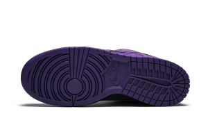 nike-dunk-sb BV1310-555
