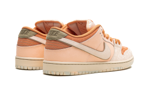 nike-dunk-sb FV5926-200