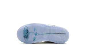 nike-dunk-sb FZ6106-300