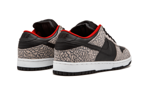 nike-dunk 304292-131