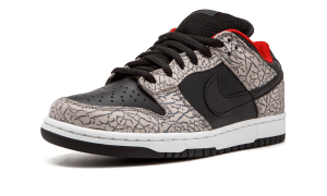 nike-dunk 304292-131