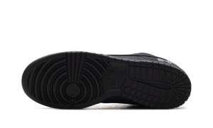 nike-dunk-sb HQ8487-001