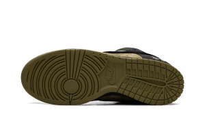nike-dunk-sb HQ8487-300