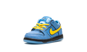 nike-dunk-sb FZ8830-400