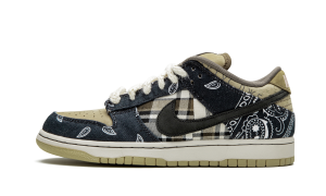 nike-dunk-sb CT5053-001