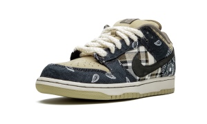 nike-dunk-sb CT5053-001