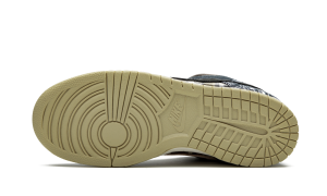 nike-dunk-sb CT5053-001