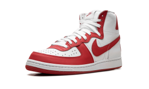 nike-terminator FD4159-102