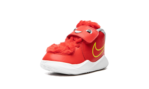 nike-team-hustle-d-9 CT4066-600