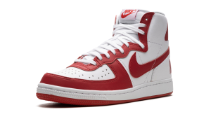 nike-terminator FJ4454-100