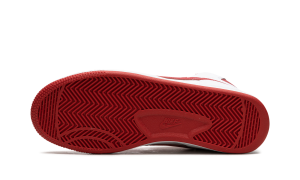 nike-terminator FJ4454-100