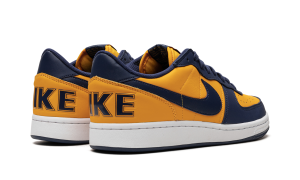 nike-terminator FJ4206-700