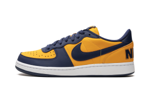 nike-terminator FJ4206-700