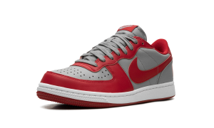 nike-terminator FZ4036-099