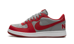 nike-terminator FZ4036-099
