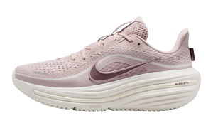 Nike Winflo 12 Womens “Silt Red / Particle Rose / Phantom / Tattoo” (HV9273-600)