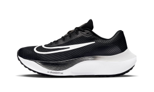 nike-zoom DM8968-001