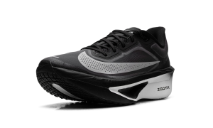 nike-zoom FN8454-001