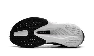 nike-zoom FN8454-001