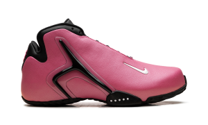 nike-zoom IX0704-600