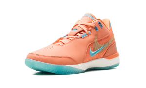 nike-zoom FJ1566-401