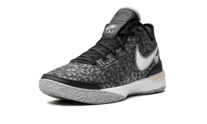 nike-zoom DR8784-005