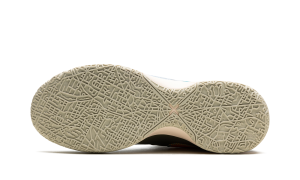 nike-zoom DR8784-400