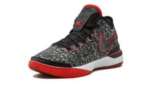 nike-zoom DR8784-001