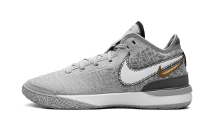 Nike Zoom LeBron NXXT Gen “Wolf Grey Metallic Gold” (DR8784-004)