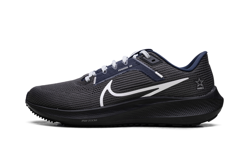 nike-air-pegasus DZ5975-001