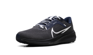 nike-air-pegasus DZ5975-001