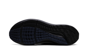 nike-air-pegasus DZ5975-001