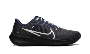 nike-air-pegasus DZ5975-001