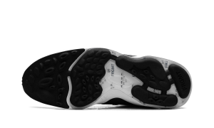 nike-air-zoom HF5455-100