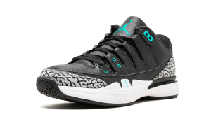nike-vapor 709998-031