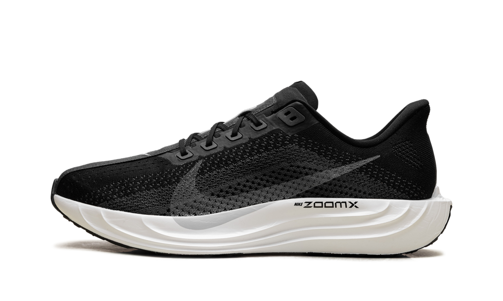 nike-air-pegasus FQ7262-002