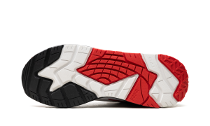 puma-rs-trck 391655-01