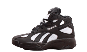 Reebok Pump Vertical “Above The Rim” (100032-755)