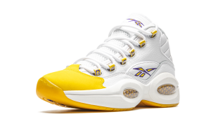 reebok-question FX4278